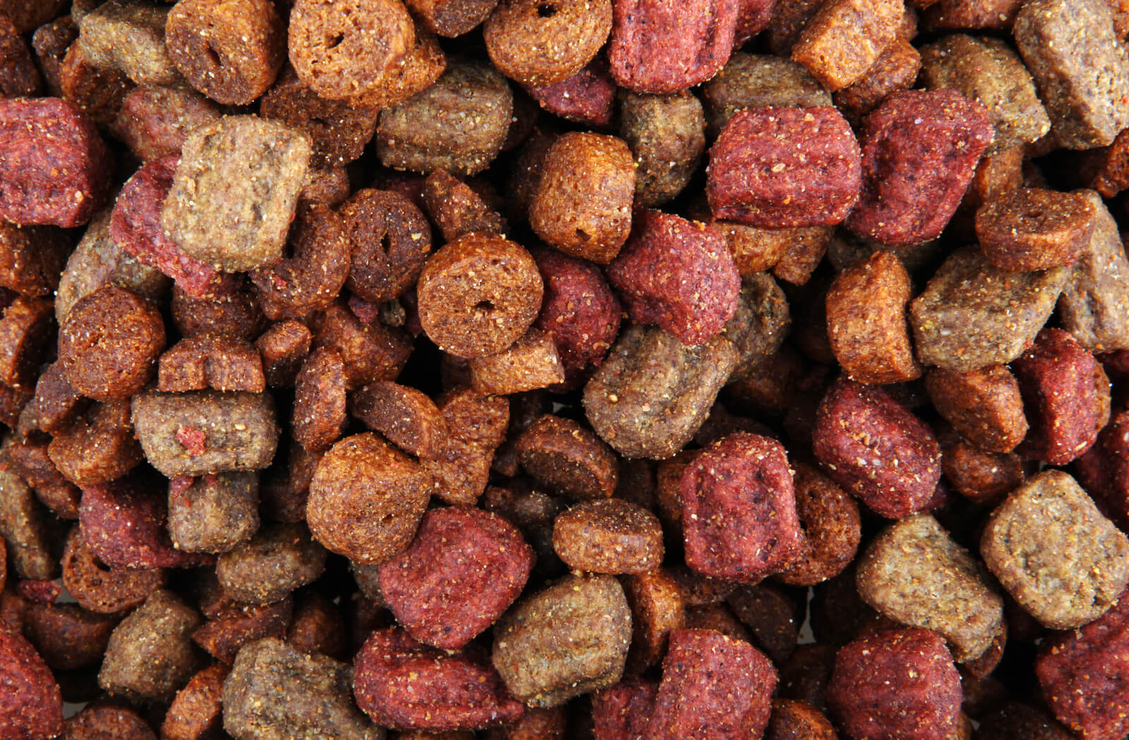 4b - Dog Food Closeup